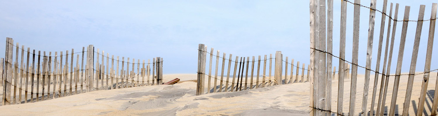 kitty hawk beach