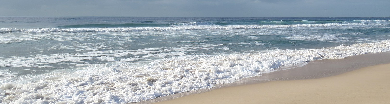 Kitty Hawk Beach